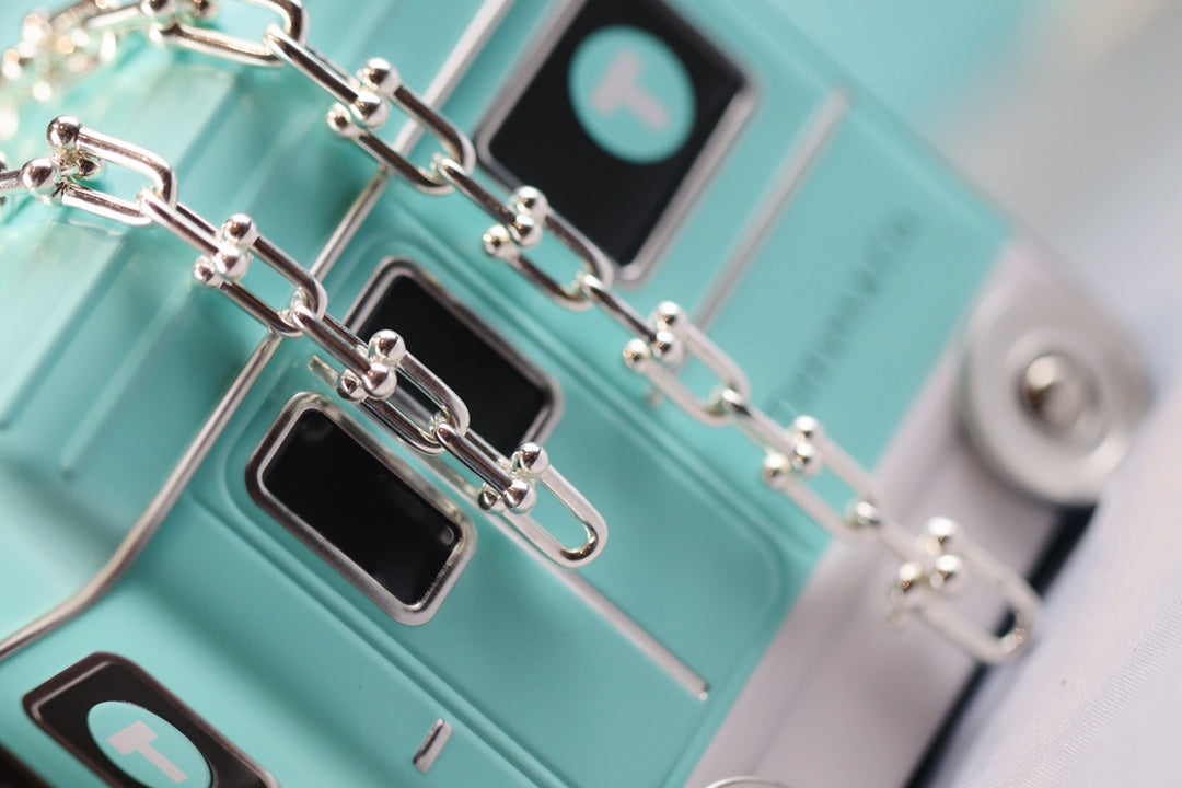 Tiffany Hardwear Link Silver Necklace